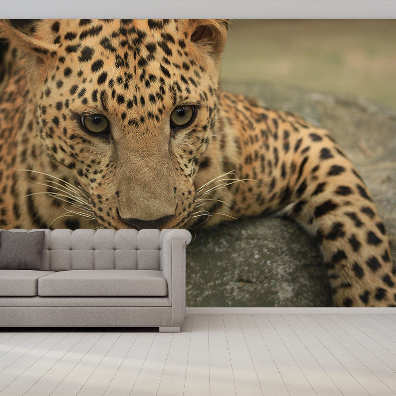 Leopard Mildew Resistant Wall Mural Wild Animal Wallpaper Living Room Wall Mural