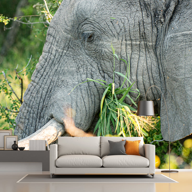 Leopard Mildew Resistant Wall Mural Wild Animal Wallpaper Living Room Wall Mural