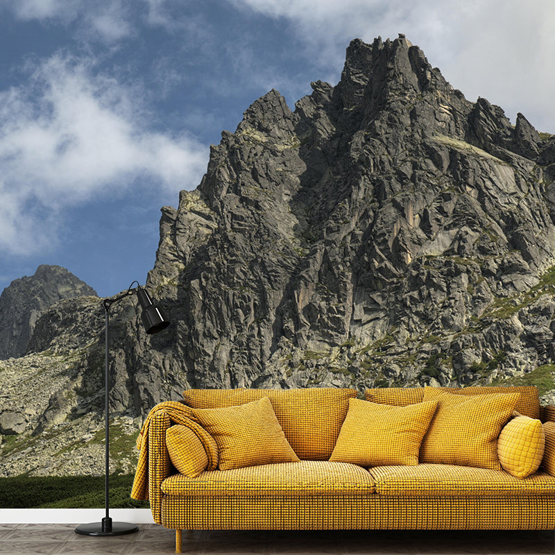 Wall Mural Modern Style Mountain Wallpaper Photography Mildew Resistant for Living Room