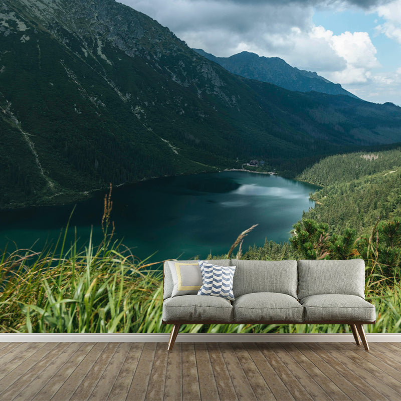 Wall Mural Style Mountain Wall Mural Wallpaper Photography Mildew Resistant