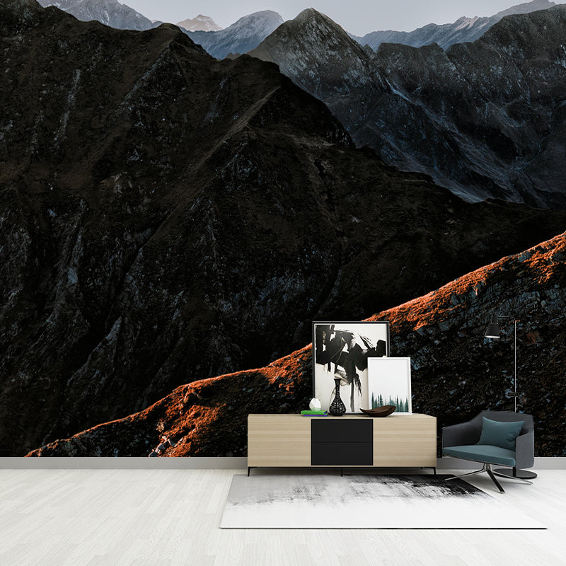 Snow Mountain Wall Mural Wallpaper Photography  Resistant for Room