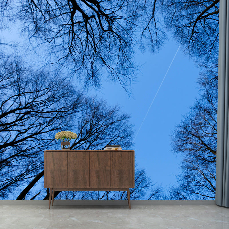 Natural Scenery Forest Wall Mural Wallpaper Photography Mildew Resistant for Sitting Room