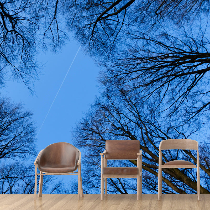 Natural Scenery Forest Wall Mural Wallpaper Photography Mildew Resistant for Sitting Room