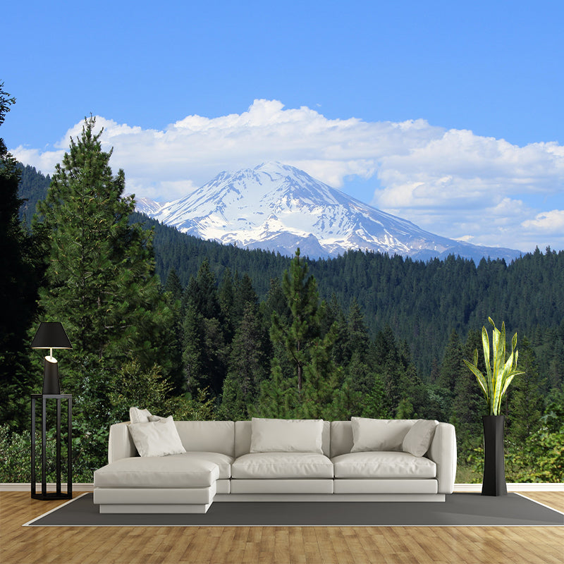 Mountain Forest Style Forest Wall Mural Wallpaper Photography Mildew Resistant for Bedroom