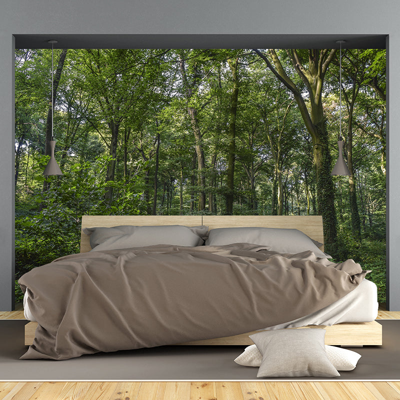 Mountain Forest Style Forest Wall Mural Wallpaper Photography Mildew Resistant for Bedroom