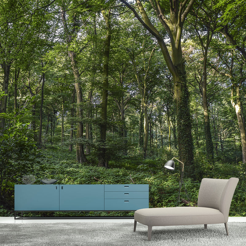 Mountain Forest Style Forest Wall Mural Wallpaper Photography Mildew Resistant for Bedroom