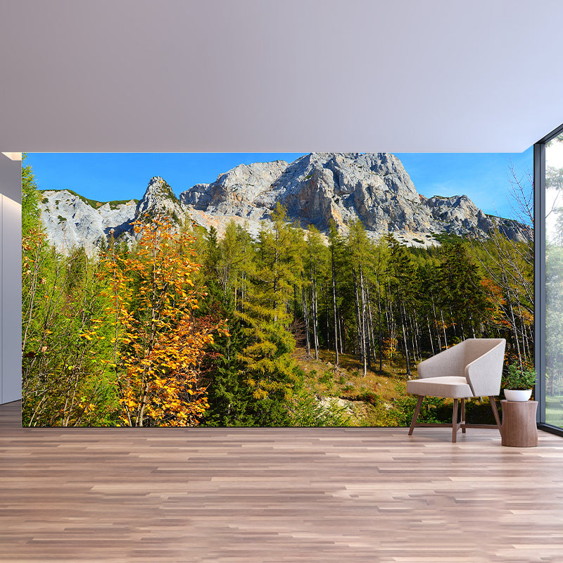Mountain Forest Style Forest Wall Mural Wallpaper Photography Mildew Resistant for Bedroom