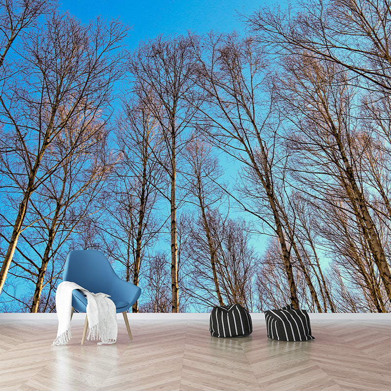 Sky Scene Style Forest Wall Mural Wallpaper Photography Mildew Resistant for Living Room