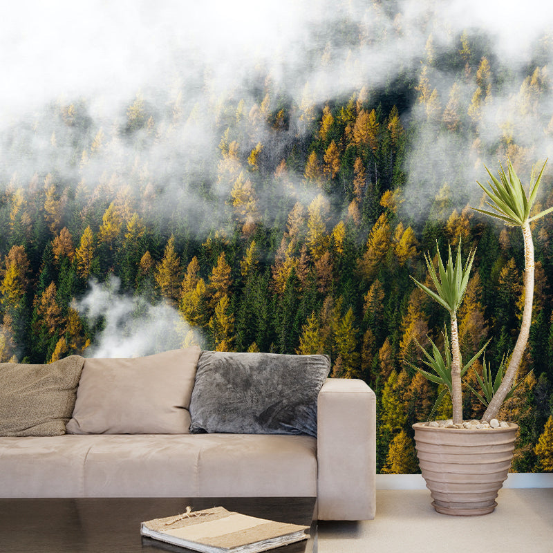 Sky Scene Style Forest Wall Mural Wallpaper Photography Mildew Resistant for Living Room