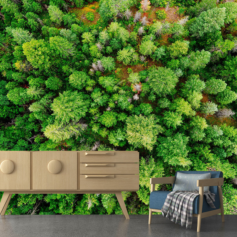 Modern Style Forest Wall Mural Wallpaper Photography Mildew Resistant Wall Covering