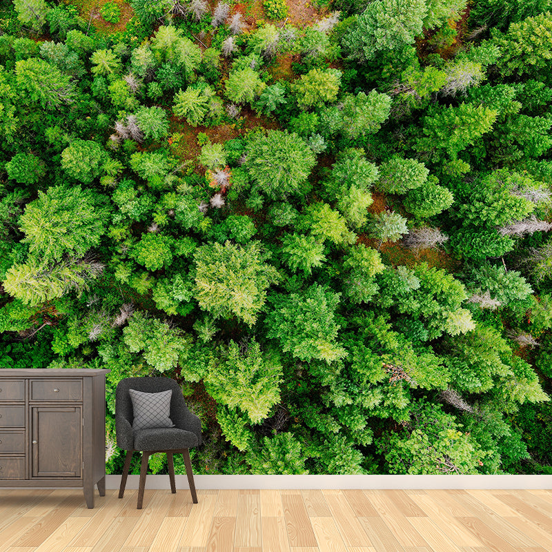 Modern Style Forest Wall Mural Wallpaper Photography Mildew Resistant Wall Covering