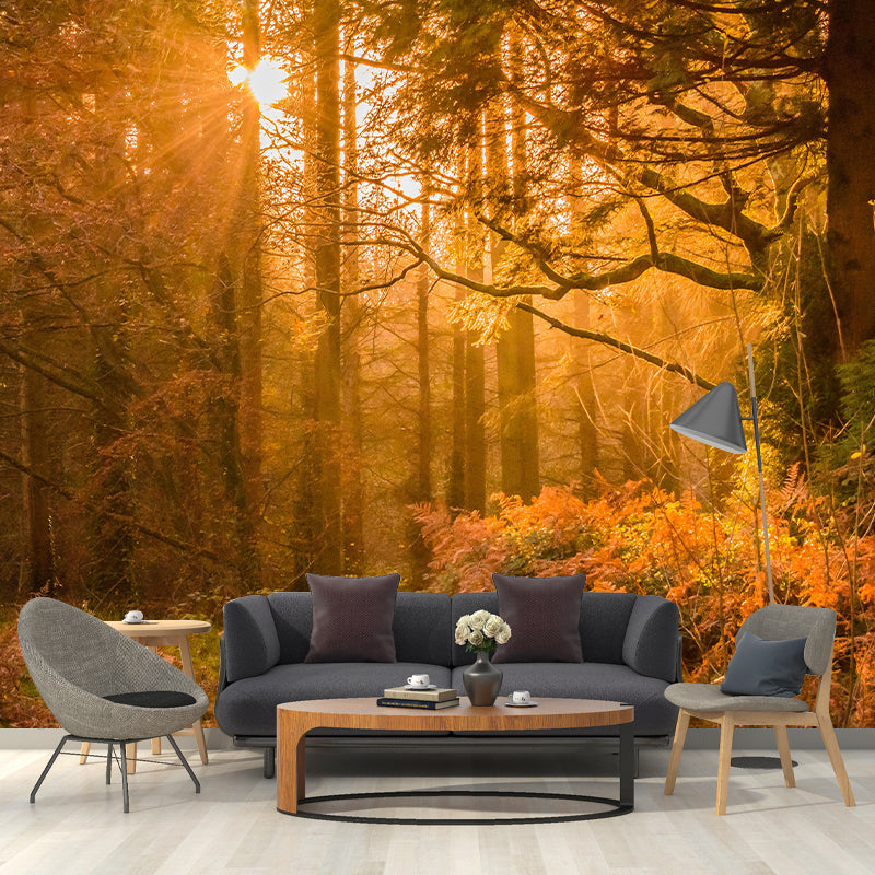 Forest Scene Style Nature 3D Wall Mural Wallpaper Photography Mildew Resistant Wall Art