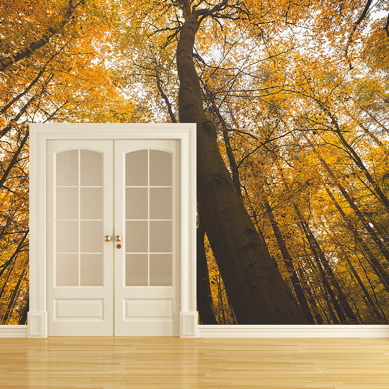 Modern Style Forest Wall Mural Wallpaper Photography Mildew Resistant for Wall Decor