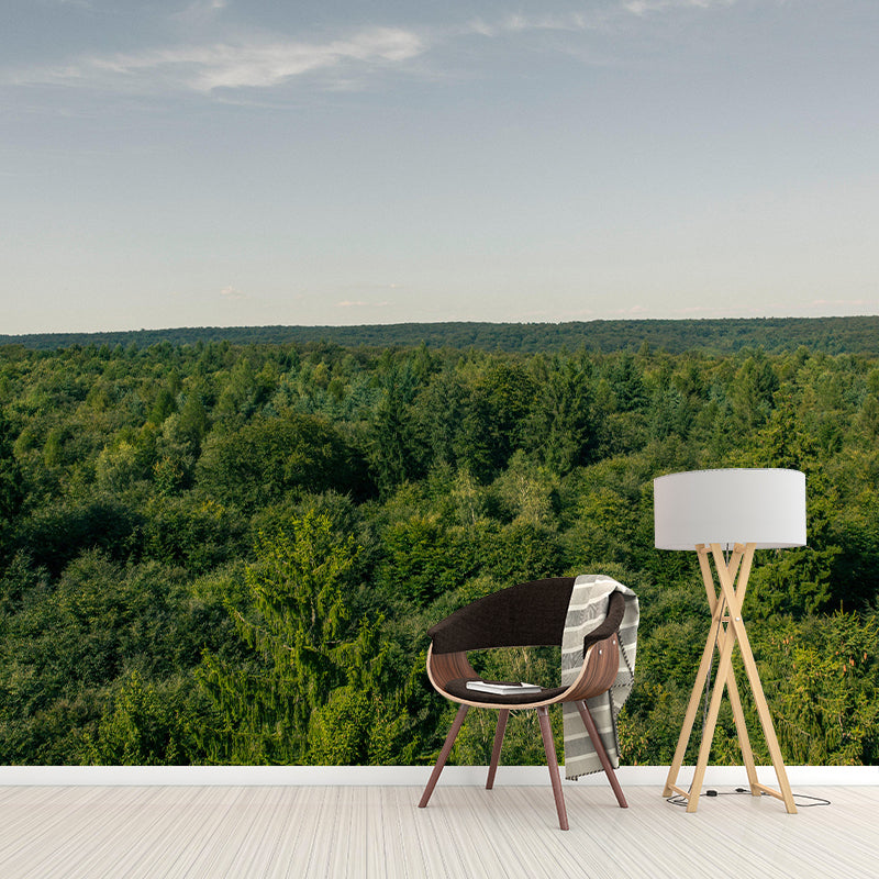 Modern Style Forest Wall Mural Wallpaper Photography Mildew Resistant for Wall Decor