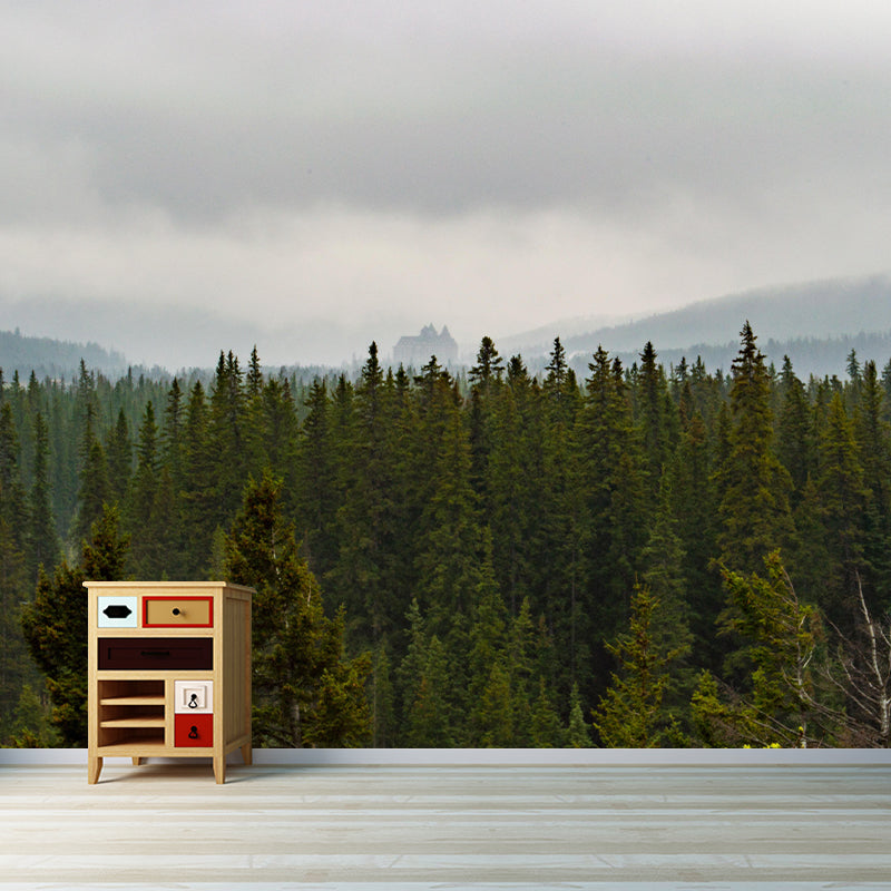 Modern Style Forest Wall Mural Wallpaper Photography Mildew Resistant for Wall Decor