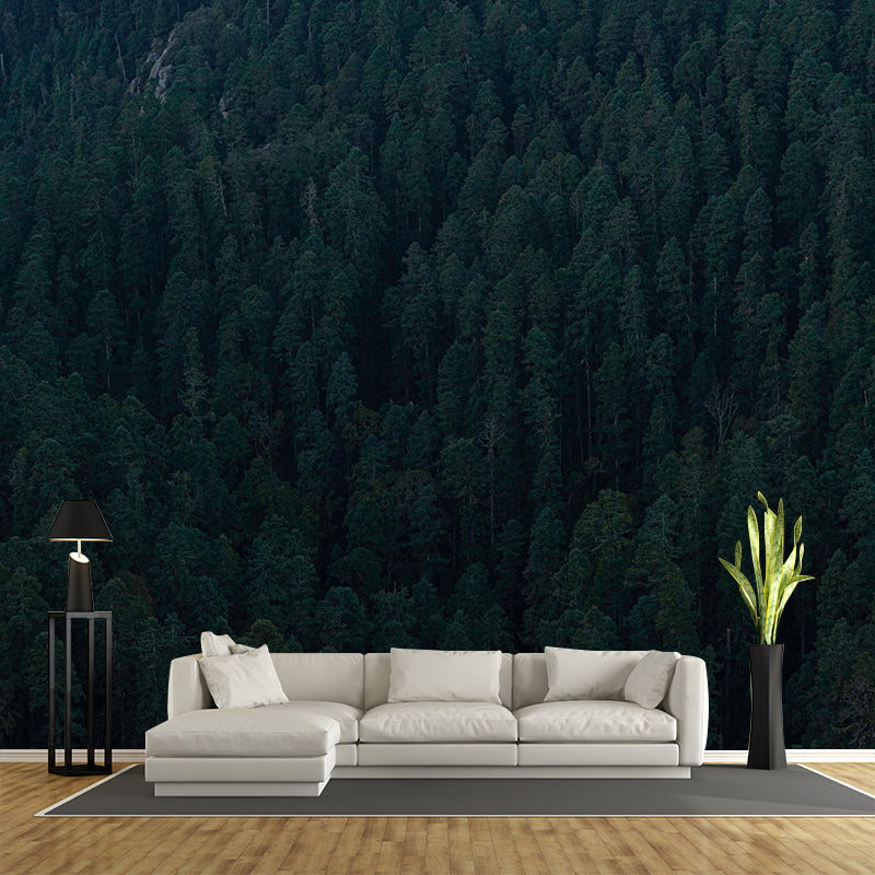 Modern Style Forest Wall Mural Wallpaper Photography Mildew Resistant for Home Decor