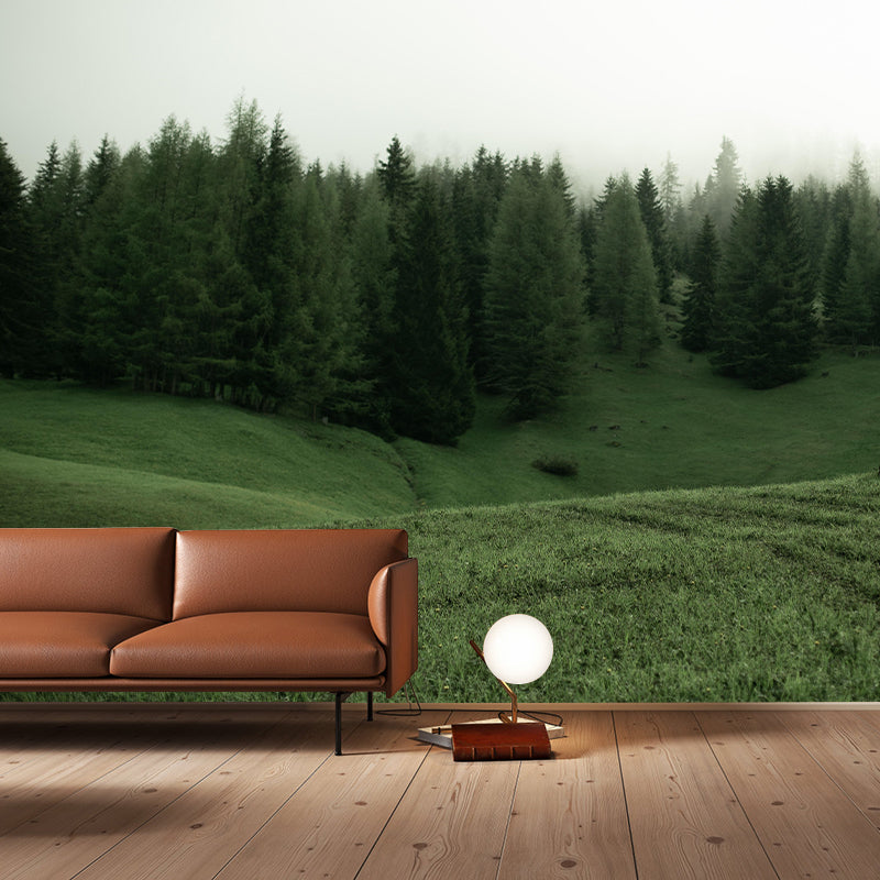 Modern Style Forest Wall Mural Wallpaper Photography Mildew Resistant for Home Decor