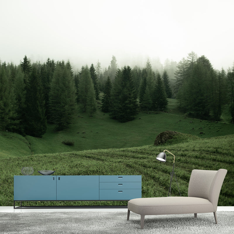 Modern Style Forest Wall Mural Wallpaper Photography Mildew Resistant for Home Decor
