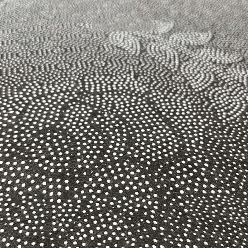 Tapis gris moderne polyester tapis lavable simple pour le salon