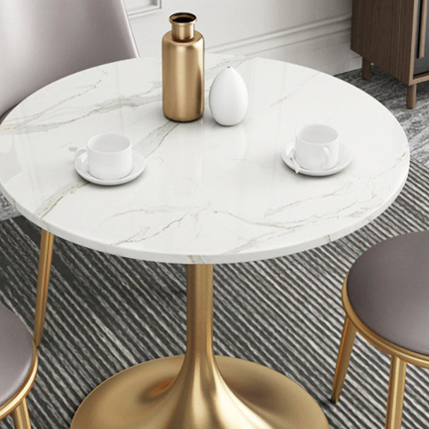 1/2/4/5 Pcs Metal Glam Dining Room Set with Round Table and Metal Base Dining Set