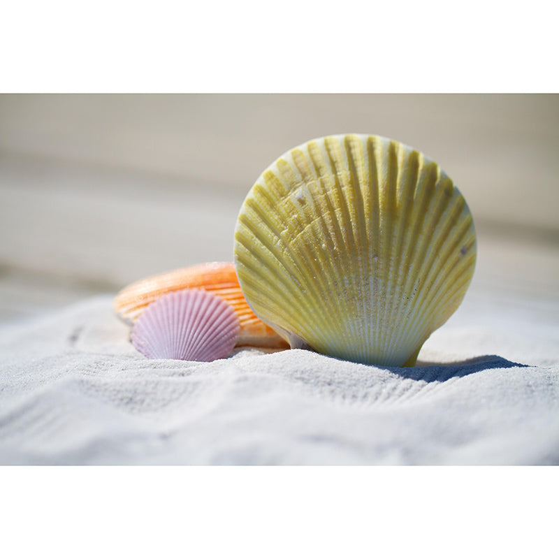 Beach Photography Mural Wallpaper Decorative Bedroom Wall Mural