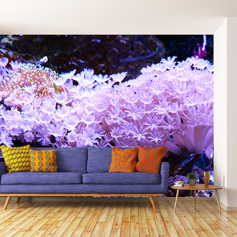 Decorative Photography Mural Wallpaper Marine Life Indoor Wall Mural