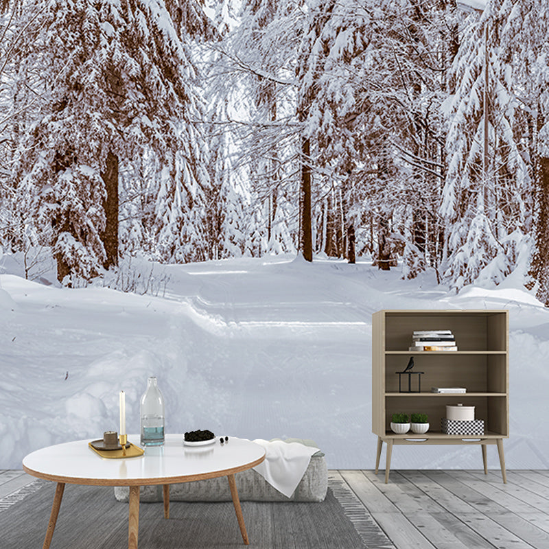 Washable Stain Resistant Mural Wallpaper Forest Indoor Wall Mural