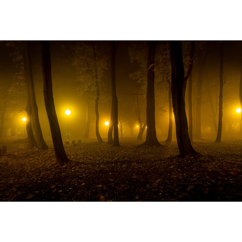 Environment Friendly Resistant Mural Wallpaper Forest Living Room Wall Mural