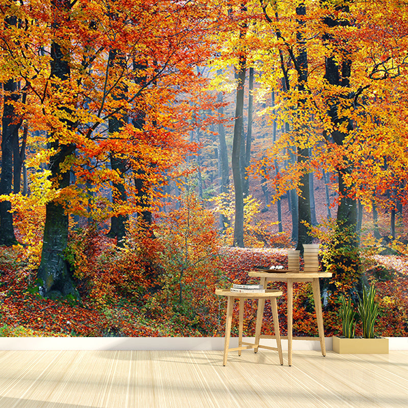 Photography Stain Resistant Wall Mural Wallpaper Forest Sitting Room Wall Mural