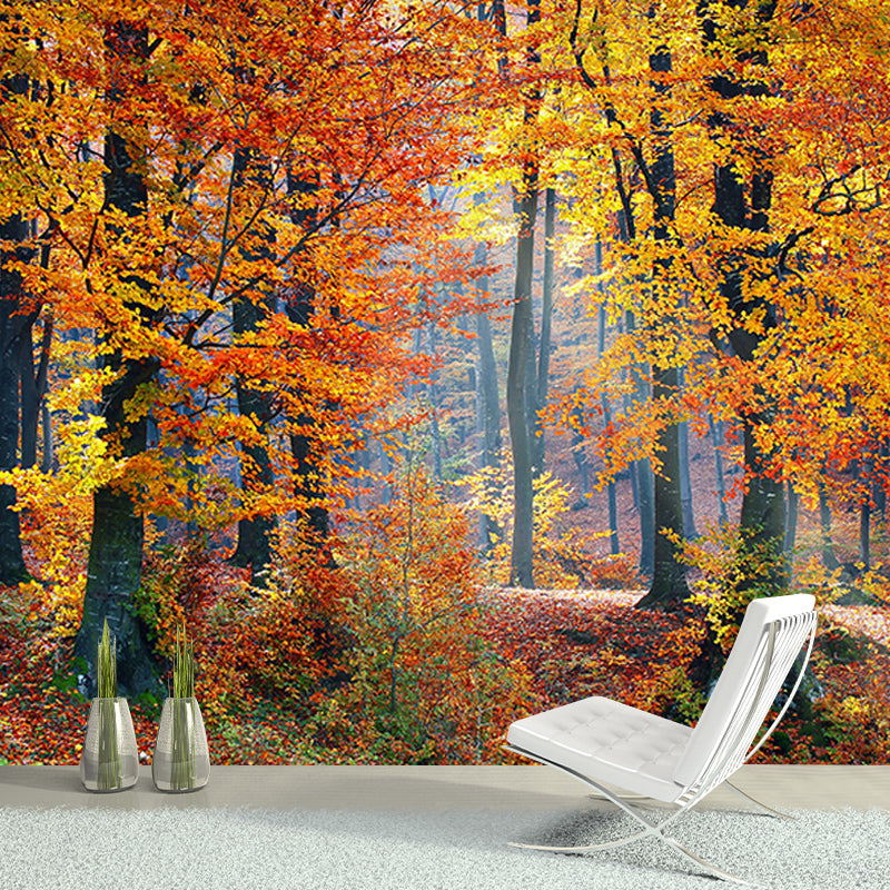Photography Stain Resistant Wall Mural Wallpaper Forest Sitting Room Wall Mural