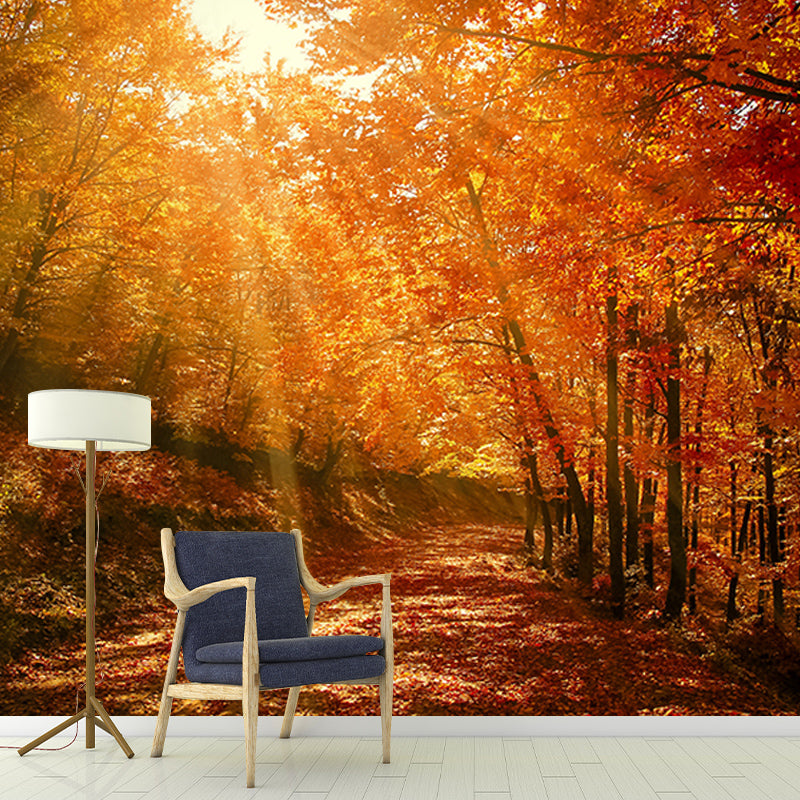 Photography Wall Mural Wallpaper Forest Sitting Room Wall Mural