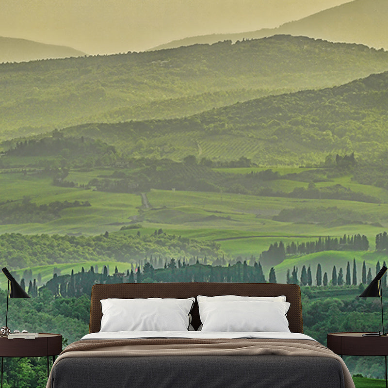 Modern Photography Mural Wallpaper Forest Living Room Wall Mural