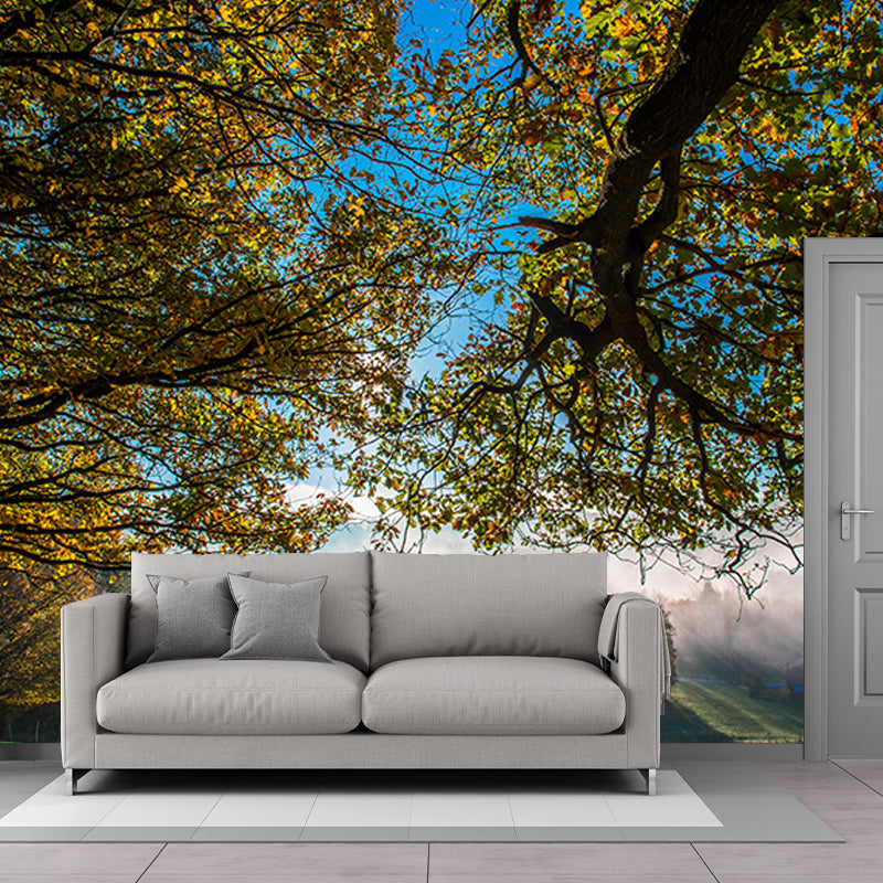 Modern Photography Mural Wallpaper Forest Living Room Wall Mural