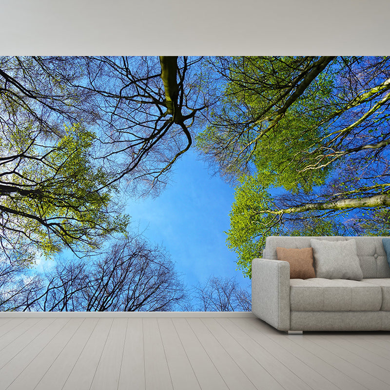 Decorative Photography Mural Wallpaper Forest Indoor Wall Mural