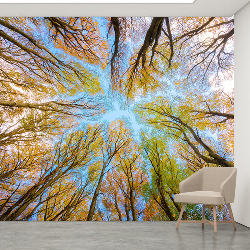 Decorative Photography Mural Wallpaper Forest Indoor Wall Mural