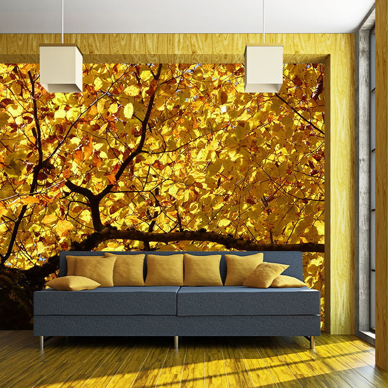 Decorative Photography Mural Wallpaper Forest Indoor Wall Mural