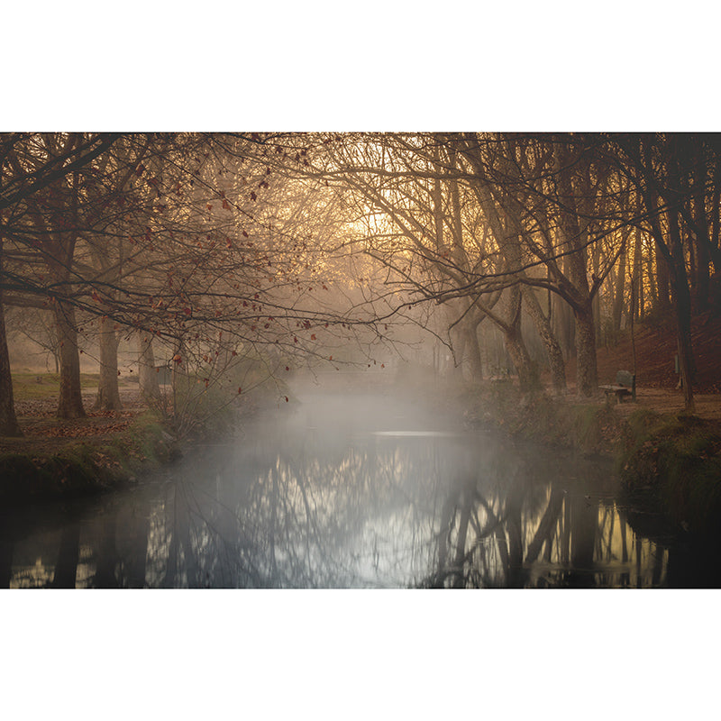 Environmental Wall Mural Wallpaper Forest Living Room Wall Mural