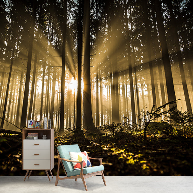 Modern Style Mural Wallpaper Forest Photography Indoor Wall Mural