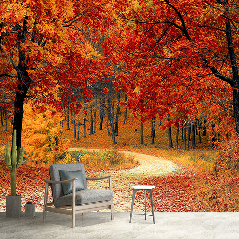 Forest Photography Environment Friendly Mural Wallpaper Bedroom Wall Mural