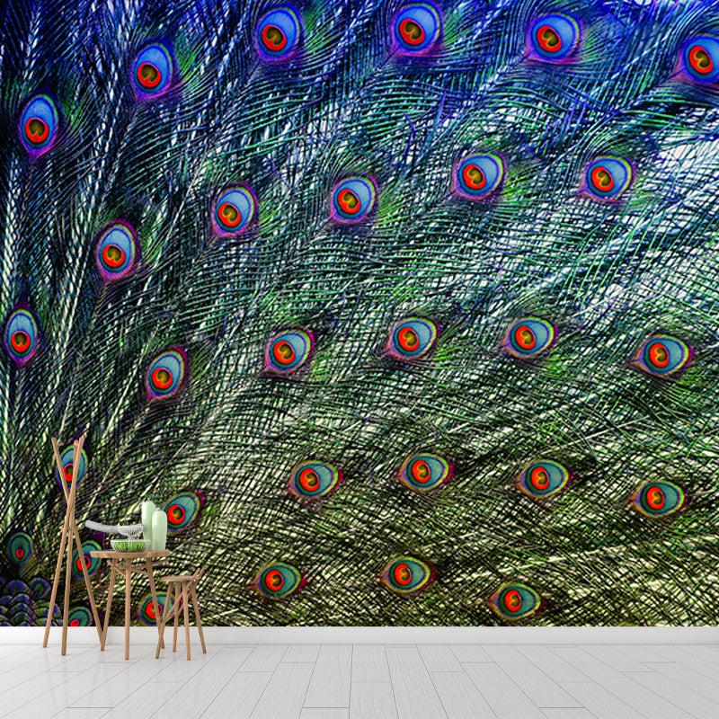 Decorative Wall Mural Wallpaper Peacock Feather Sitting Room Wall Mural