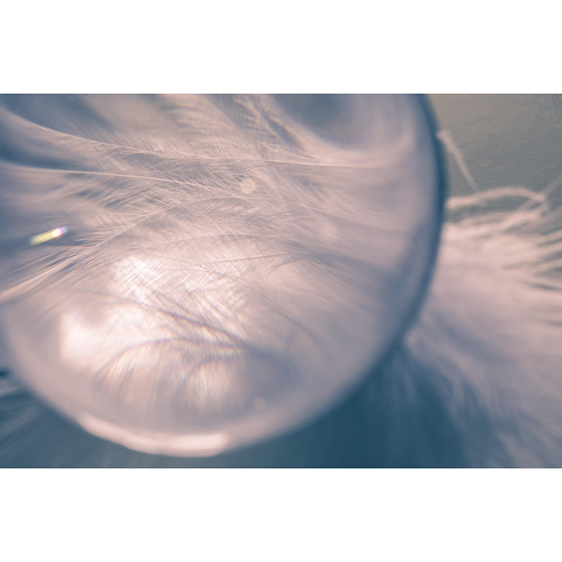 Photography Environment Friendly Mural Wallpaper Feather Bedroom Wall Mural