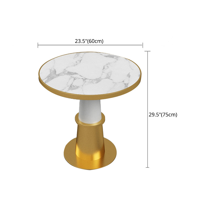 Glam 1/5 Pieces Dining Set Sintered Stone Dining Table Set for Home Use