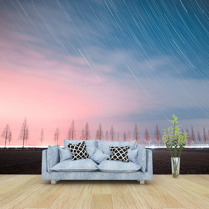 Washable Stain Resistant Mural Wallpaper Beautiful Sky Indoor Wall Mural