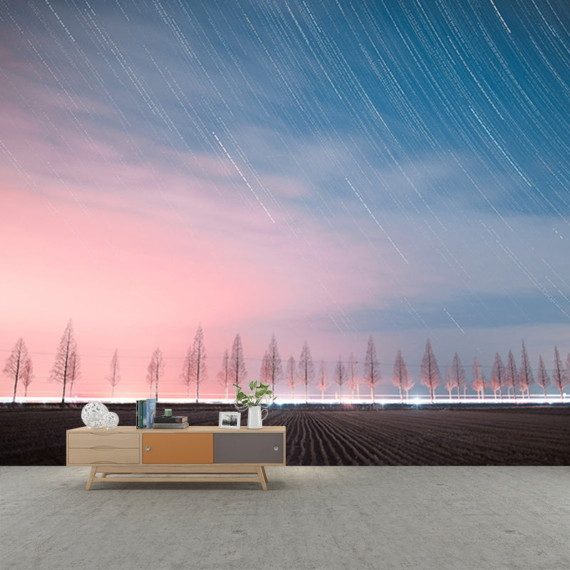 Washable Stain Resistant Mural Wallpaper Beautiful Sky Indoor Wall Mural