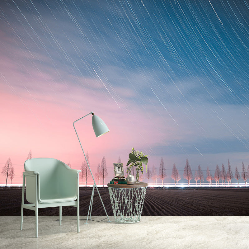 Washable Stain Resistant Mural Wallpaper Beautiful Sky Indoor Wall Mural