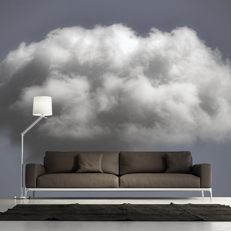 Photography Stain Resistant Mural Wallpaper Beautiful Sky Indoor Wall Mural