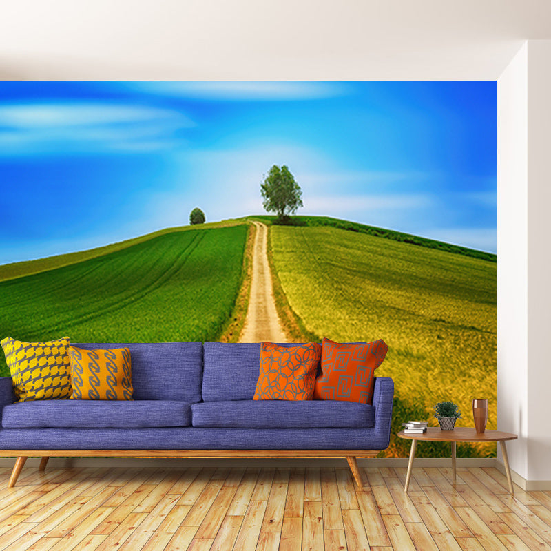 Modern Style Mural Wallpaper Beautiful Sky Photography Indoor Wall Mural