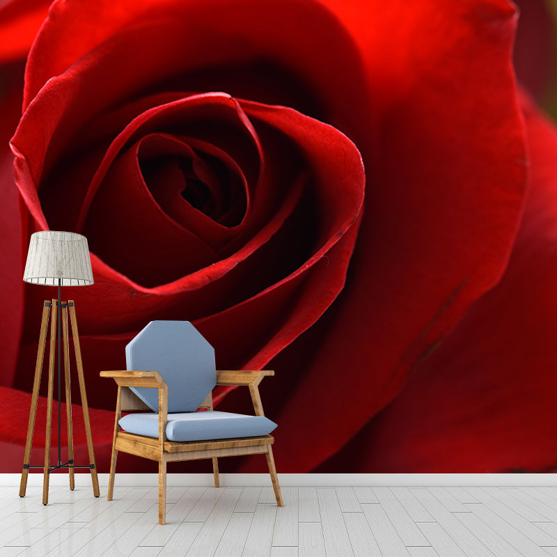 Photography Stain Resistant Mural Wallpaper Roses Indoor Wall Mural