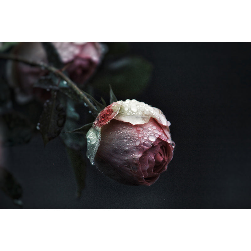 Photography Stain Resistant Mural Wallpaper Roses Indoor Wall Mural