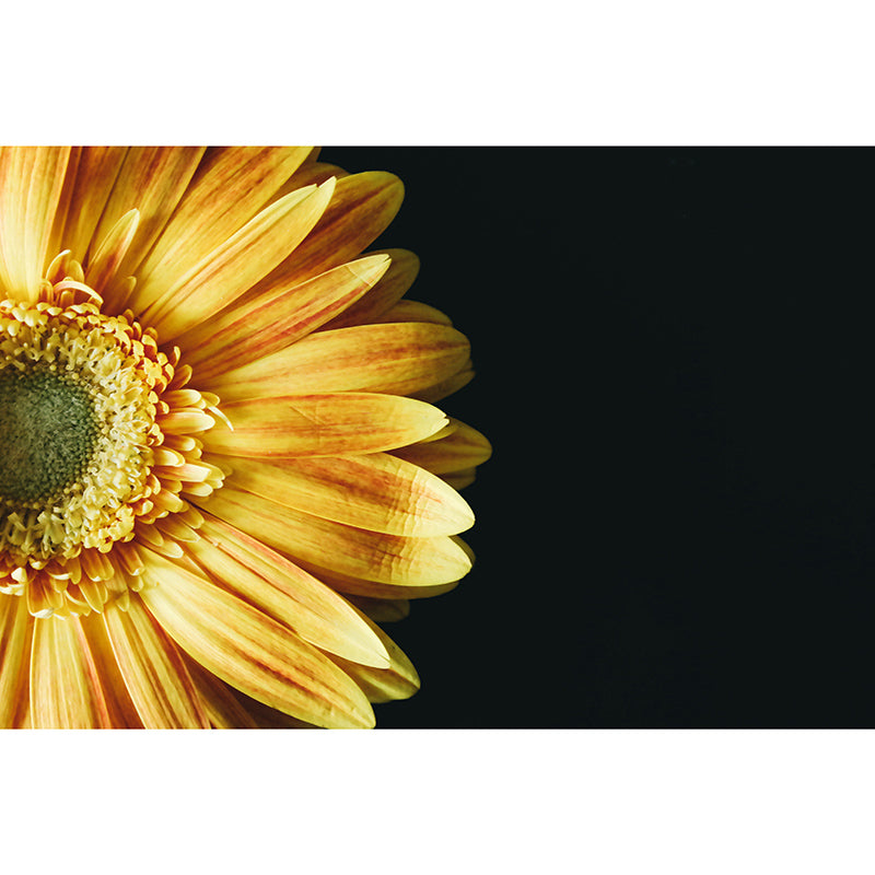 Environmental Wall Mural Wallpaper Sunflowers Living Room Wall Mural